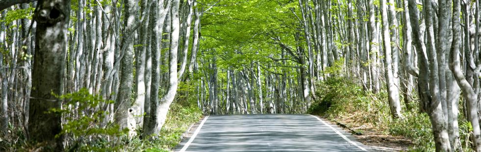 お問合せフォーム